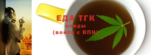 индика Вяземский